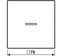 Jung JUNG HOME, probador, 1 unidad, BTLS17101SWM