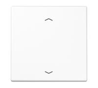 Jung ls1700pww placa de pared y cubierta de interruptor