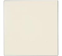 JUNG LS990 Tecla Simple, Duroplástico (Resistente Al Rayado) Brillante, Blanco Marfil