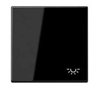 JUNG LS990LSW Tecla Simple con Símbolo Luz, Duroplástico Lacado, Negro