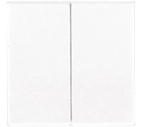 JUNG LS995 Tecla Doble, Duroplástico (Resistente Al Rayado) Brillante, Blanco Marfil