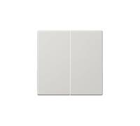JUNG LS995LG Tecla Doble, Duroplástico (Resistente Al Rayado) Brillante, Gris Claro