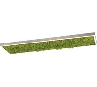 Just Light Green Knut plafón 1x25 W verde 15623-66