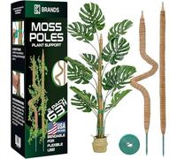 K-Brands Paquete de 2 postes de musgo - Soporte para plantas Monstera de 63 pulgadas - Postes de musgo para plantas trepadoras Monstera - Soporte flexible para plantas de plantas - Kit de estacas para