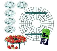 KADAX Juego de 5 soportes para fresas de 30 cm, protección para fresas y fresas de plástico, protección contra caracoles para plantas de fresa
