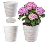 KADAX Maceta con platillo, Maceta de Interior, Maceta Ligera, Maceta de plástico, Maceta Redonda para Flores, Plantas, casa, Jardinera (30cm, Crema)