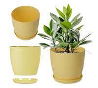 KADAX Maceta con Plato, Maceta Redonda de plástico, Maceta Mate para Cactus, helechos, Maceta Brillante para balcón, apartamento y terraza (25 cm, limón)
