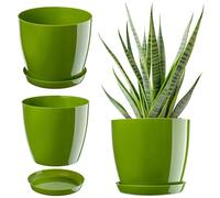 KADAX Maceta con plato, maceta redonda para interiores, elegante maceta de plástico, maceta ligera para flores y plantas para el hogar (18 cm de diámetro, color verde)