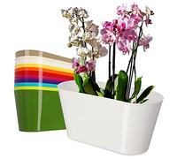 KADAX Maceta de plástico de 27 x 13 cm con forma ovalada para orquídeas, bellis, pensamientos, dracenos (blanco)