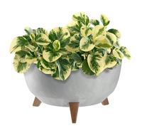 KADAX Maceta Decorativa de Plástico con Soporte Integrado, Macetero con Tres Patas de Imitación Madera para Interior y Exterior (Hormigón Gris, 39.5 cm)
