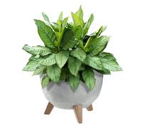 KADAX Maceta Decorativa de Plástico con Soporte Integrado, Macetero con Tres Patas de Imitación Madera para Interior y Exterior (Hormigón Gris, 29cm)