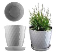 KADAX Maceta para Flores, Maceta con Base, Maceta de plástico para Interior, Macetero Redondo, Maceta Decorativa, Maceta Moderna Interior, 16 cm, Gris