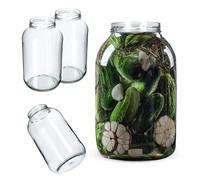 KADAX Tarro de Cristal 4L con Tapa de Rosca Sin Tapa fi100mm, 2 unidades, Bote Hermético para Conservas, Fermentar, Encurtidos, Kombucha, Kimchi, Pepinillos, Frutas
