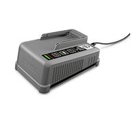 Kärcher - Cargador rápido battery power+ 18-6.0, compatible con todas las baterías de 18 V, corriente de carga de 6 A, con indicador LED