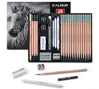 KALOUR Juego de 28 lápices de dibujo Pro Sketching - 14 lápices de grafito (14B-5H), lápices de carbón, gomas de borrar, sacapuntas y tocones - Kit de arte completo para artistas y principiantes