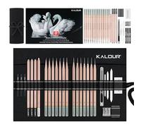 KALOUR Juego de 29 lápices de dibujo Pro Sketching con estuche de nailon enrollable, 14 lápices de grafito (14B-5H), lápices de carbón, gomas de borrar, sacapuntas y tocones - Kit de arte completo