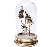 Kare Figura Decorativa Insects tre, Oro, 21 x 12.3 x 12.3 cm
