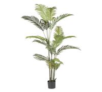 Kenzia Planta C-Pot 18Hojas H180