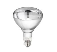 KERBL Bombilla Infrarrojos Philips 150 W, Blanca