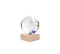 Kikkerland Reloj Meteorológico St84