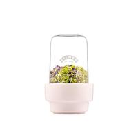 Kilner Juego de brotes de 0,5 litros