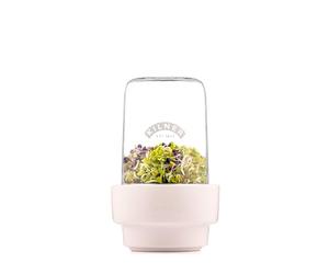 Kilner Juego de brotes de 0,5 litros