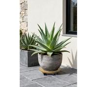 KiraKira Plataforma rodante para plantas de madera maciza con 4 ruedas giratorias, impermeable, para bandeja redonda cuadrada para macetas, para base móvil resistente para interiores y exteriores