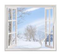 Kit de aislamiento de ventana,Película antiviento para ventanas EVA | No se puede cortar,Transparente Lámina aislante para ventanas,Contra el frío,Cubierta Aislamiento de Ventanas ,60x110cm