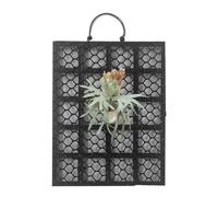 Kit de montaje para helecho Cuerno de - Marco vertical para soporte de tablero Panel botánico Acento de soporte para plantas de madera | Instalación de montaje en orquídea Cámara de p