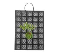 Kit de montaje para helecho Cuerno de - Marco vertical para soporte de tablero Panel botánico Acento de soporte para plantas de madera | Instalación de montaje en orquídea Cámara de p