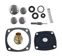 Kit de reconstrucción de carburador 631893A compatible con S200 S620 TVS600 LAV30 AH600 HS40 restauración del sistema de combustible chorros de latón