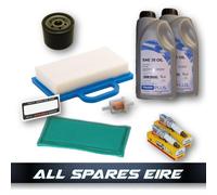 KIT DE SERVICIO DE PASEO EN TRACTOR PARA MOTORES BRIGGS & STRATTON INTEK V-TW...
