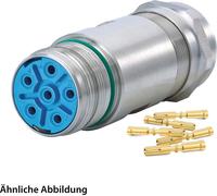 KIT HUMMEL, incluye conectores M23 de alta potencia, conector de acoplamiento INOX, conector de crimpado recto, número de polos 3+4+PE, conector hembra, rango de sujeción