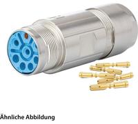 KIT HUMMEL, incluye conectores M23 para conexión de potencia y conector de acoplamiento. Terminal con inserto de crimpado recto, número de polos: 3+5+PE. Conector hembra, rango de conexión
