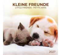 Kleine Freunde / Little Friends 2027: Kalender 2027