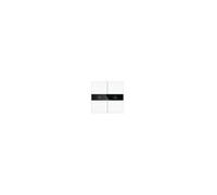 KNX Pulsador de cristal serie S con pantalla CHPBD-04/24.1.10