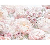 Komar 8-976 Papel pintado fotográfico para pared, 8 partes, 368 x 254 cm, diseño de rosas