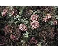 Komar 8 - 980 (368 x 254 cm, mural "), diseño de flores, rosa (8 unidades)