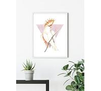 Komar Cacadoo - Póster decorativo para pared (50 x 70 cm, sin marco)
