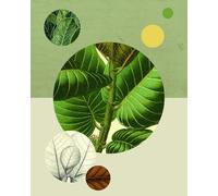 Komar Cuadro de Pared con Estructura Verde | Póster de la Sala de Estar o el Dormitorio Decoración Impresión artística | Sin Marco | P054-40x50 | Tamaño: 40 x 50 cm (Ancho x Alto)