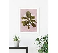Komar Cuadro de pared - Créatures Végétales - Tamaño: 30 x 40 cm - Póster, impresión artística, decoración de salón o dormitorio (sin marco)