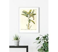 Komar Cuadro decorativo para pared (50 x 70 cm), diseño de bosque tropical