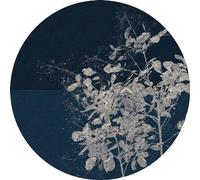 Komar D1-033 Dot - Papel pintado autoadhesivo para pared, diseño de lunares, multicolor