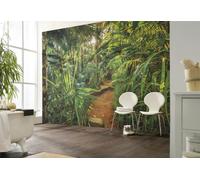Komar Mural de Pared Fotográfico Selva 368x254cm Verde Botánico Papel