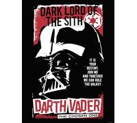 Komar Mural de Star Wars Darth Vader The Chosen One - Tamaño 30 x 40 cm - Decoración para habitación infantil
