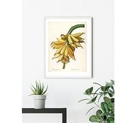 Komar Póster de Plantains - Tamaño: 50 x 70 cm - Póster, impresión artística, decoración de salón o dormitorio (sin marco)