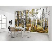 Komar SHX9-015 - Papel pintado fotográfico (450 x 280 cm), diseño de paisaje natural
