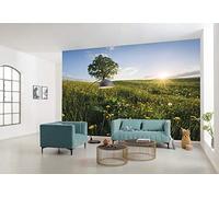 Komar SHX9-034 - Papel pintado fotográfico (fieltro, XXL, decoración, naturaleza, paisaje, dormitorio, salón, oficina, pasillo, 450 x 280 cm), multicolor