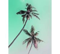 Komar WTD - Cuadro de Pared (40 x 50 cm), diseño de Palmeras de Miami