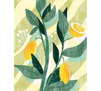 Komar WTD LJX4-015 - Papel pintado fotográfico (200 x 250 cm), diseño de limones, diseño de limones